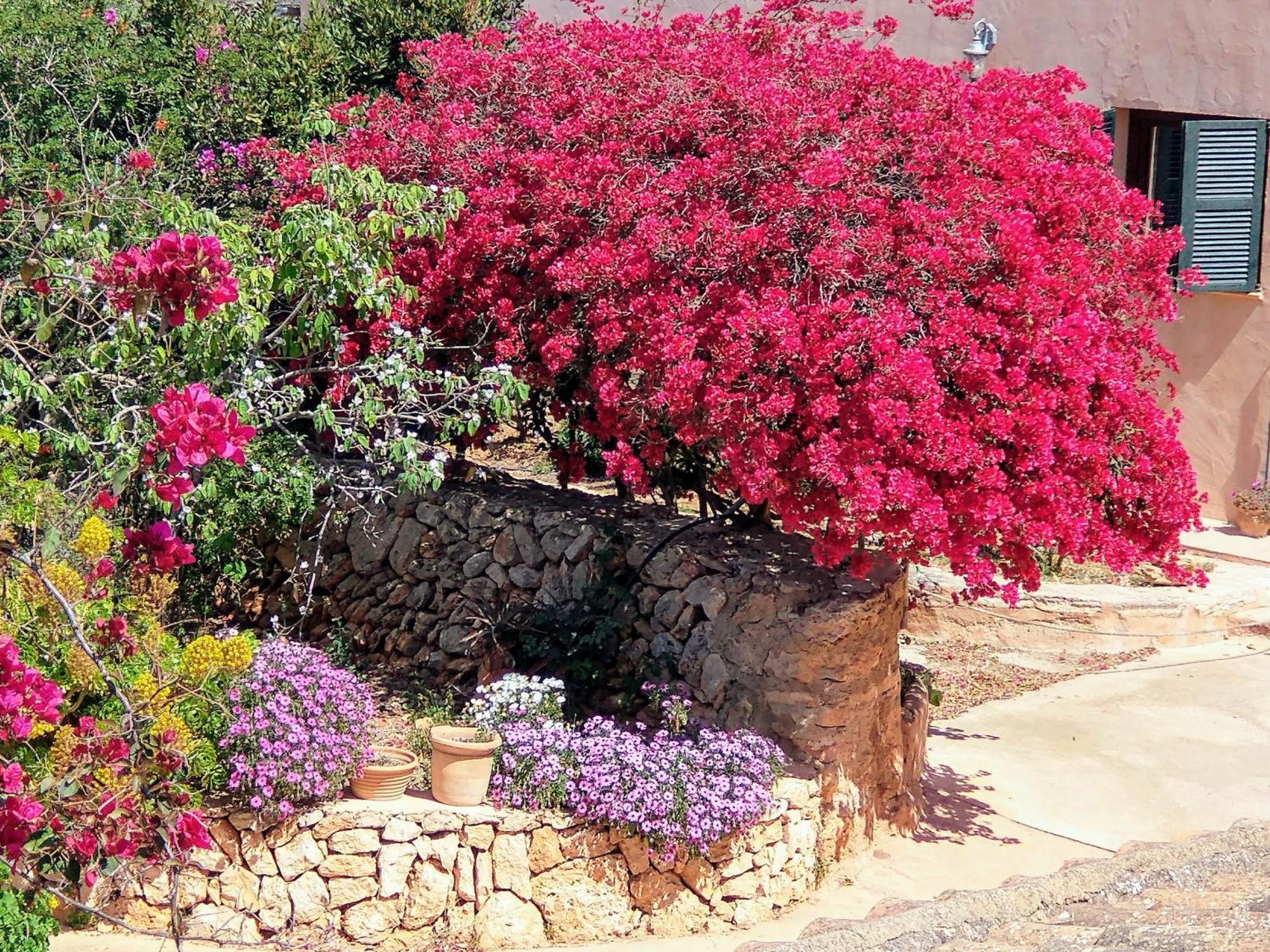 Finca Son Marimon (Adults Only) Santanyí Eksteriør bilde