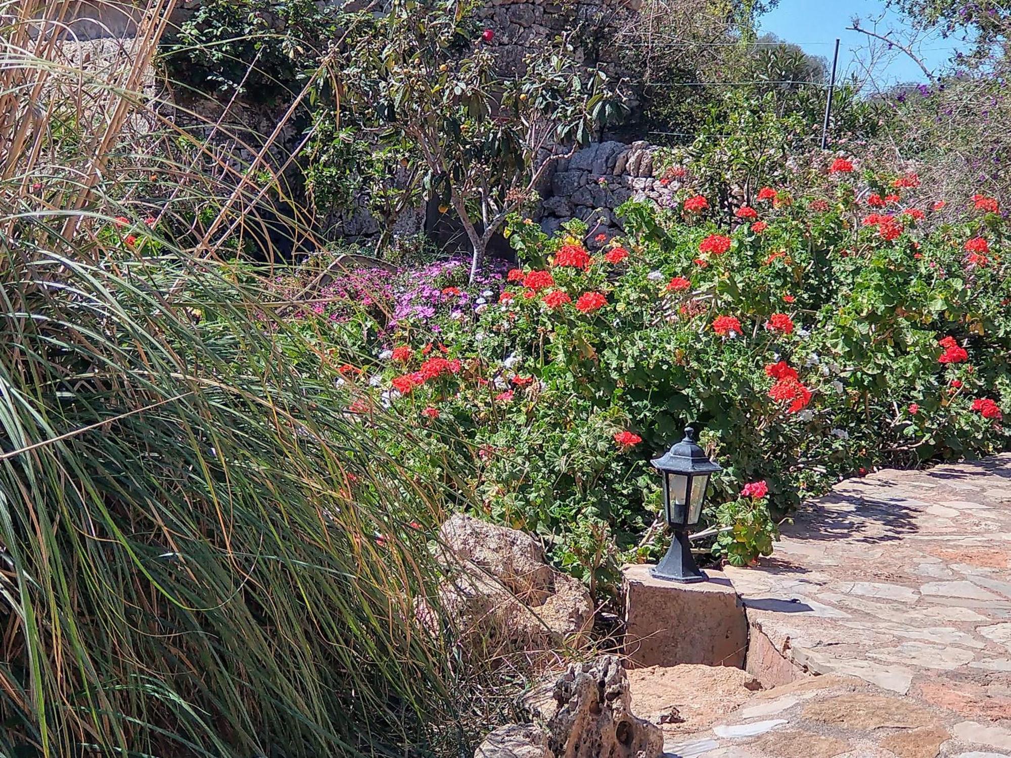 Finca Son Marimon (Adults Only) Santanyí Eksteriør bilde