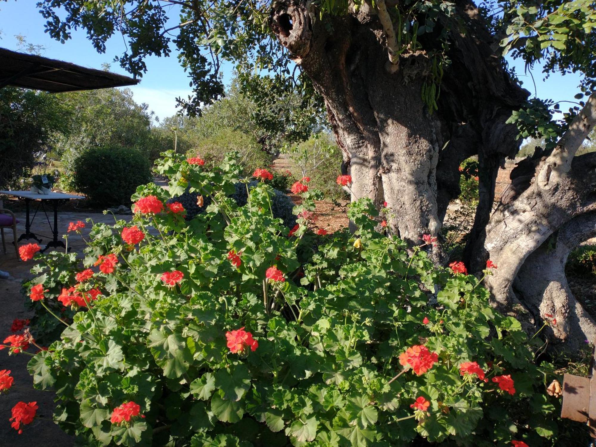 Finca Son Marimon (Adults Only) Santanyí Eksteriør bilde